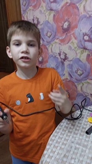 Подготовка теплички для венериной мухоловки.