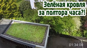 Зелёная кровля за полтора часа? Это реально?