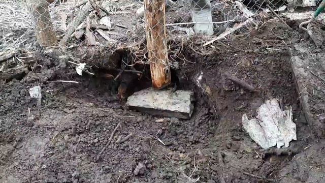 Самообеспечение и побег от зарплатного рабства.