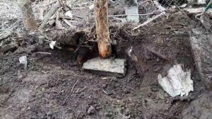 Самообеспечение и побег от зарплатного рабства.