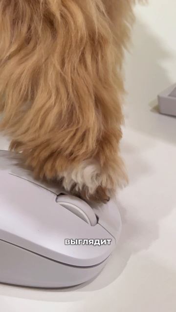 У нас появился новый сотрудник