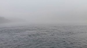 Продолжаем слушать воду в поисках рыбы 2023-06-25