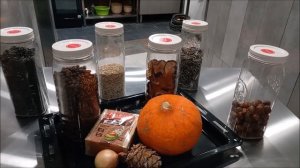 Кайко очень любит играть в прятки с фотографом и сразу забывает про своих подружек 20.03.2026