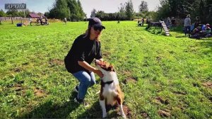 Как правильно подготовить любимца к загородному сезону