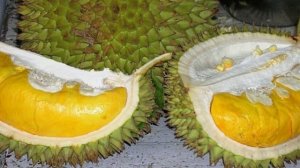 Дача и дизайн ! (3)