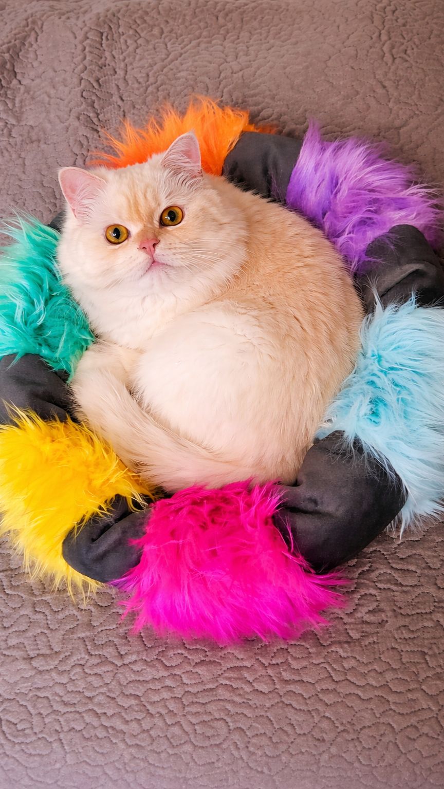 Он не стал цветным… он вспомнил себя. Я просто положила его сюда. Это не обычная  лежанка - это ..