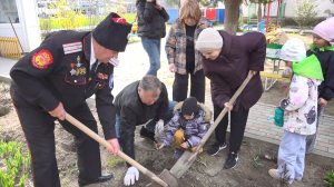 В анапских детских садах высадили крымские кипарисы