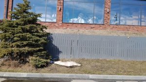 С мужем гуляем, набережная на Волге!