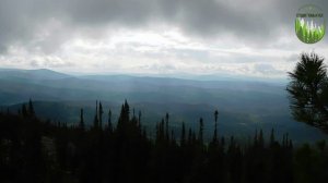 Зеленое море тайги...