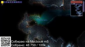 Terraria на позитиве