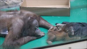 Мишель всегда старается находиться с дочкой 20.03.2026