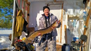 Трофейные Щуки. Таёжное озеро. Рыбалка на жерлицы.