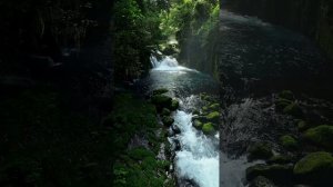 Мелодия воды🌊| Погружения в мир природы🌊| успокаивающий для быстрого сна Мелодия