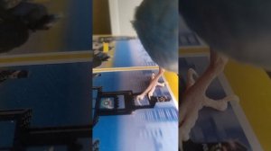 подпишись!!!