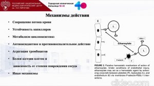 Этамзилат Щепарев И.С.