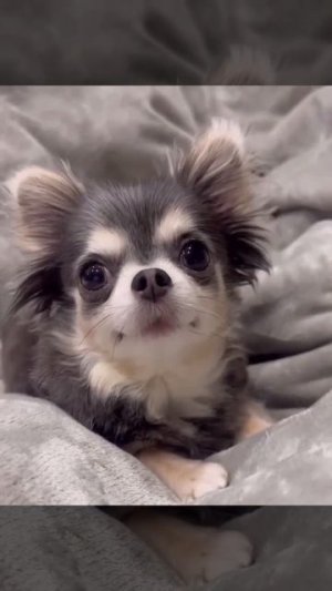 Доброе утро