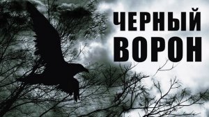 А Над Зонами Расстилается Туман☝️
 Душевный Шансон💣💯