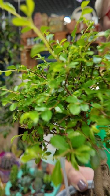 Будьте бдительны, остерегайтесь мошенников