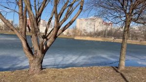 Весна на Крюковой улице