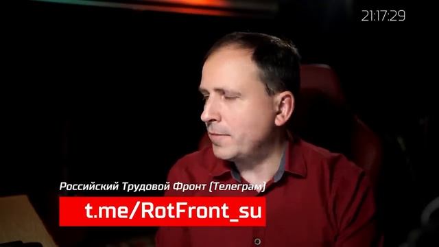 Что делать с бродячими собаками? Ответы на вопросы