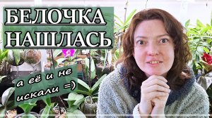 Про ОТПУСК и неделю БЕЗ СВЯЗИ. ЧТО будет ДАЛЬШЕ? САМОЕ ГЛАВНОЕ - не потеряться!