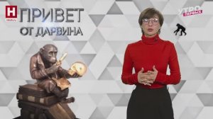 Энергия | ПРИВЕТ ОТ ДАРВИНА