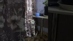 вопросы алисе