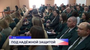 Итоги деятельности Министерства лесного хозяйства Нижегородской области за год подвели на коллегии