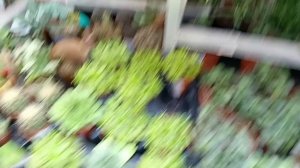 #какая красота