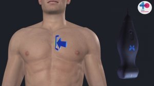 HOW TO волемич статус Верх Пол Вена Щепарев И.С.