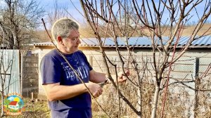 ХУТОРСКИЕ ЗАБОТЫ. ПЕРВЫЕ РАБОТЫ В САДУ И СНОВА РЕМОНТ НА ДВА ФРОНТА.