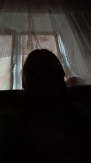 для котик амбро