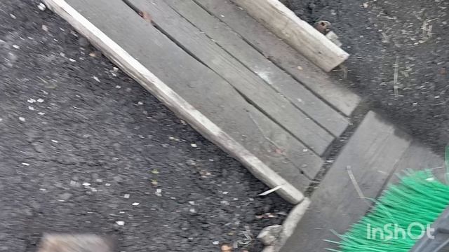 Покажите свою жизнь. Смотрите.