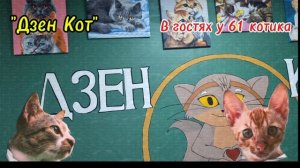 В гостях у 61 котика 🐈🐈⬛🐱.Такого я ещё не 👀 видела💯❗️