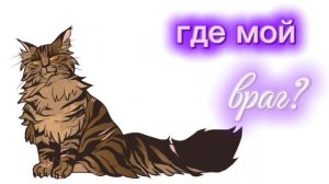 Коты-воители