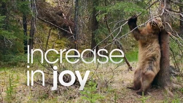 Nature Makes You Happy ｜ BBC Earth