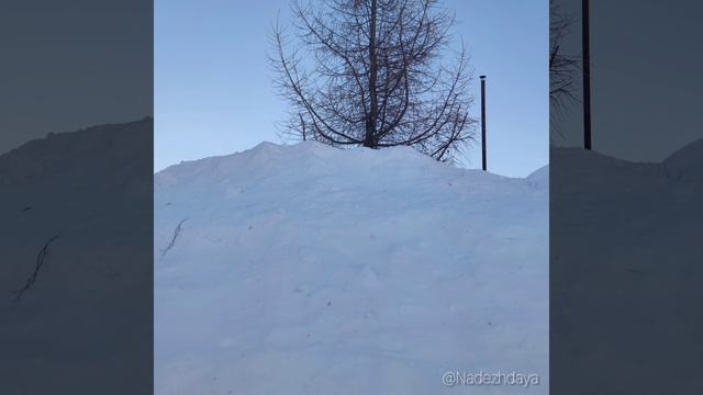 Мы хотели ехать в горы - горы к нам приехали