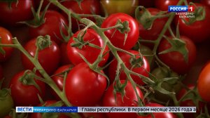 Кабардино‑Балкария возглавила рейтинг СКФО по объему сельхозпроизводства