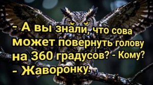 Анекдоты на День #Анекдоты #Смешное