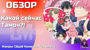 Обзор | Какой сейчас Тамон | Сёдзё | Комедия | Романтика | Аниме