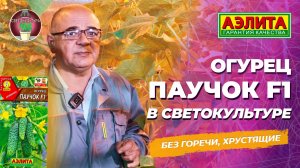 Огурец ПАУЧОК F1 в СВЕТОКУЛЬТУРЕ