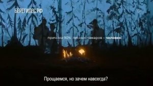 Леса - важнейшей компонент биосферы, стабилизирующий экологическую обстановку.