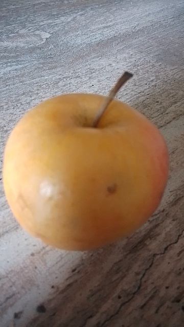 Он что то заподозрил