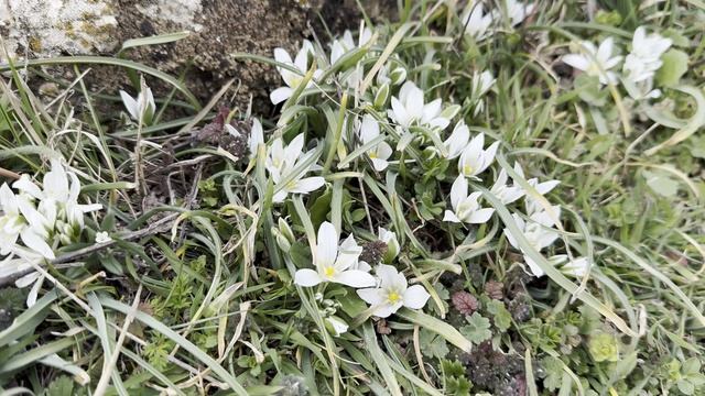 К храму Солнца и горе Ильяс-Кая. 22 марта 2026.