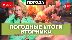 Дрифт на картинге, дегустация в Ленинском. Погода на 24 марта. Метеострим