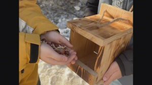 Как сделать кормушку для белок