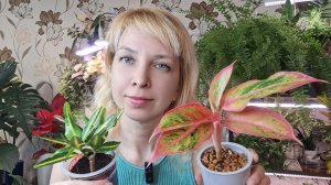 Растения на продажу. Март