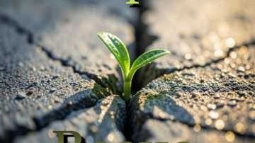 Инкерман - Весна