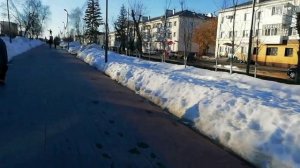 Весенняя вечерняя аллея