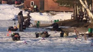 поимка форели на жерлицу